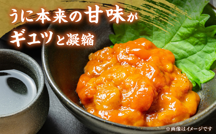 壱岐産 冷凍 生うに 60g×1本《壱岐市》【馬渡水産】 生ウニ うに ウニ 雲丹 紫うに ムラサキウニ 海鮮 希少 冷凍配送 [JAQ011]