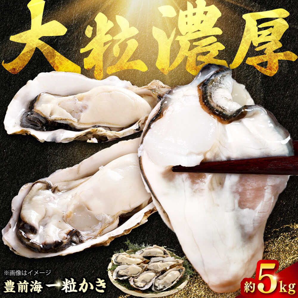 【ふるさと納税】【2026年1月中旬より順次発送】 豊前海 一粒かき 約5kg 吉富町/南水産[BGBD003] 牡蠣 かき カキ 殻付き 殻つき 加熱用 カキフライ 牡蠣フライ 濃厚 BBQ 国産