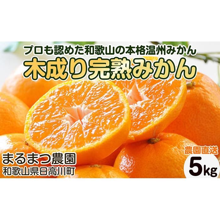 【ふるさと納税】【2025年12月発送】濃厚完熟 木成り温州みかん 5kg ミックスサイズ 和歌山県産 | フルーツ 果物 くだもの 食品 人気 おすすめ 送料無料