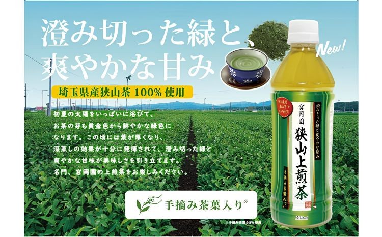 定期便12カ月 ペットボトル お茶 狭山上煎茶 500ml 24本 狭山茶 さやま茶 お茶  緑茶 おちゃ オチャ ぺっとぼとる