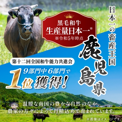 【鹿児島県産】4等級以上黒毛和牛 サーロインステーキ 360g(180g×2)(枕崎市)A8−109【配送不可地域：離島】【1616199】