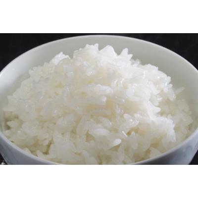 ふるさと納税 尾花沢市 【令和7年産】先行受付 精米10kg(5kg×2) 棚田米『雪きらり』尾花沢市中刈産 |  | 02