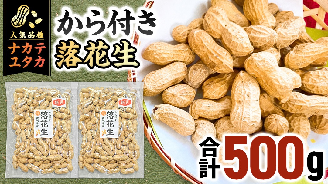 から付き落花生 500g （250g×2袋） 煎りざや落花生 おつまみ おやつ ピーナッツ 殻付き ナカテユタカ [EH21-NT]