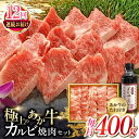 【ふるさと納税】【全12回定期便】熊本県産 あか牛 カルビ焼肉セット 400g 冷凍 専用タレ付き あか牛のたれ付き 熊本和牛【有限会社 三協畜産】[YCG085]