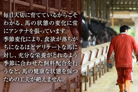 馬刺しの皿盛り(スライス)【熊本肥育】 赤身400g/フタエゴ120g/コーネ120g(タレ5ml×6袋)《30日以内に出荷予定(土日祝除く)》 熊本県 葦北郡 津奈木町