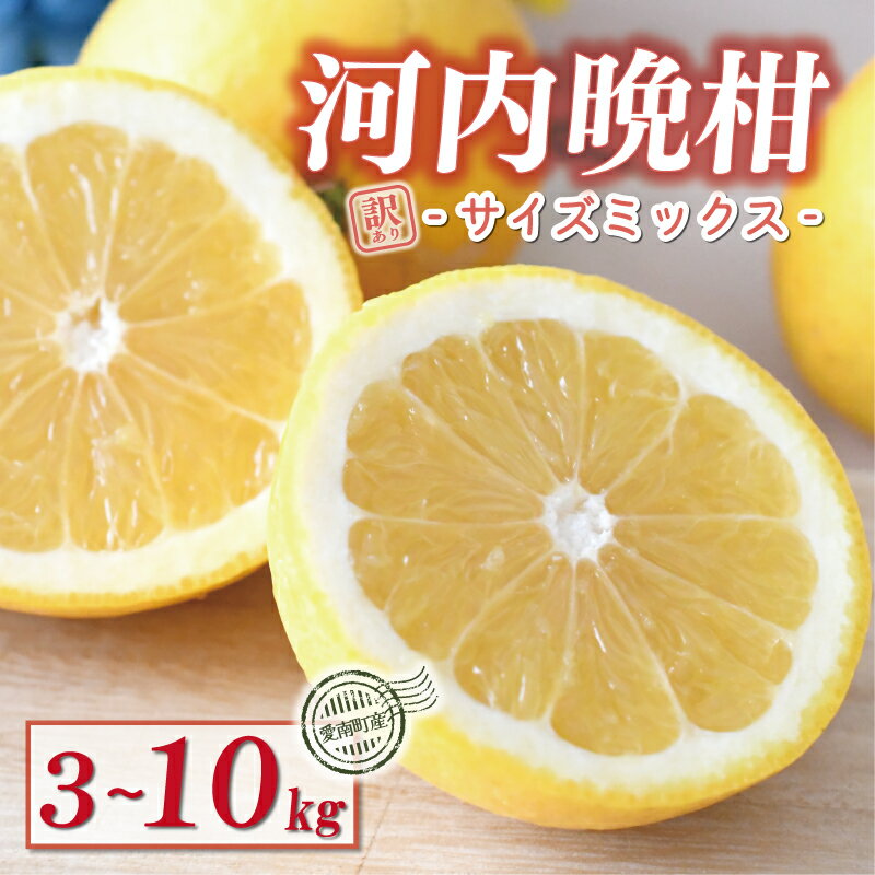 【ふるさと納税】 訳あり 木成り 河内晩柑 樹齢 20年以上 3kg 6kg 7kg 10kg サイズミックス みかん かわちばんかん ミカン mikan わけあり 愛南ゴールド あいなん 文旦 派生 国産 減農薬 数量限定 特産品 人気 小玉 含む 柑橘 お試し 少量 規格外 宮下明良 愛南町 愛媛県