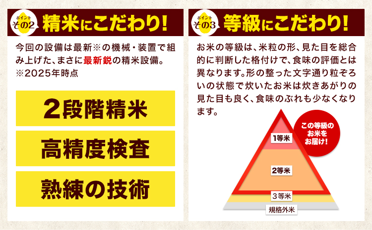 新米 令和7年産 無洗米 【隔月3回定期便】 ひのひかり 10kg《お申込月の翌月から出荷開始》 無洗米 精米 熊本県産(南阿蘇村産含む) 単一原料米 南阿蘇村 ひの 送料無料 熊本県 SDGs むせ