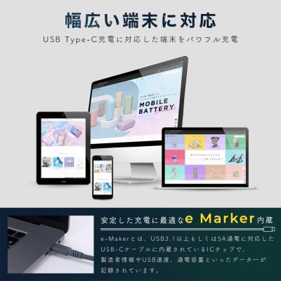 ふるさと納税 海老名市 シリコンケーブル  PD240W CtoC 1m エアリーホワイト(MOT-SCBU4CCG) |  | 03