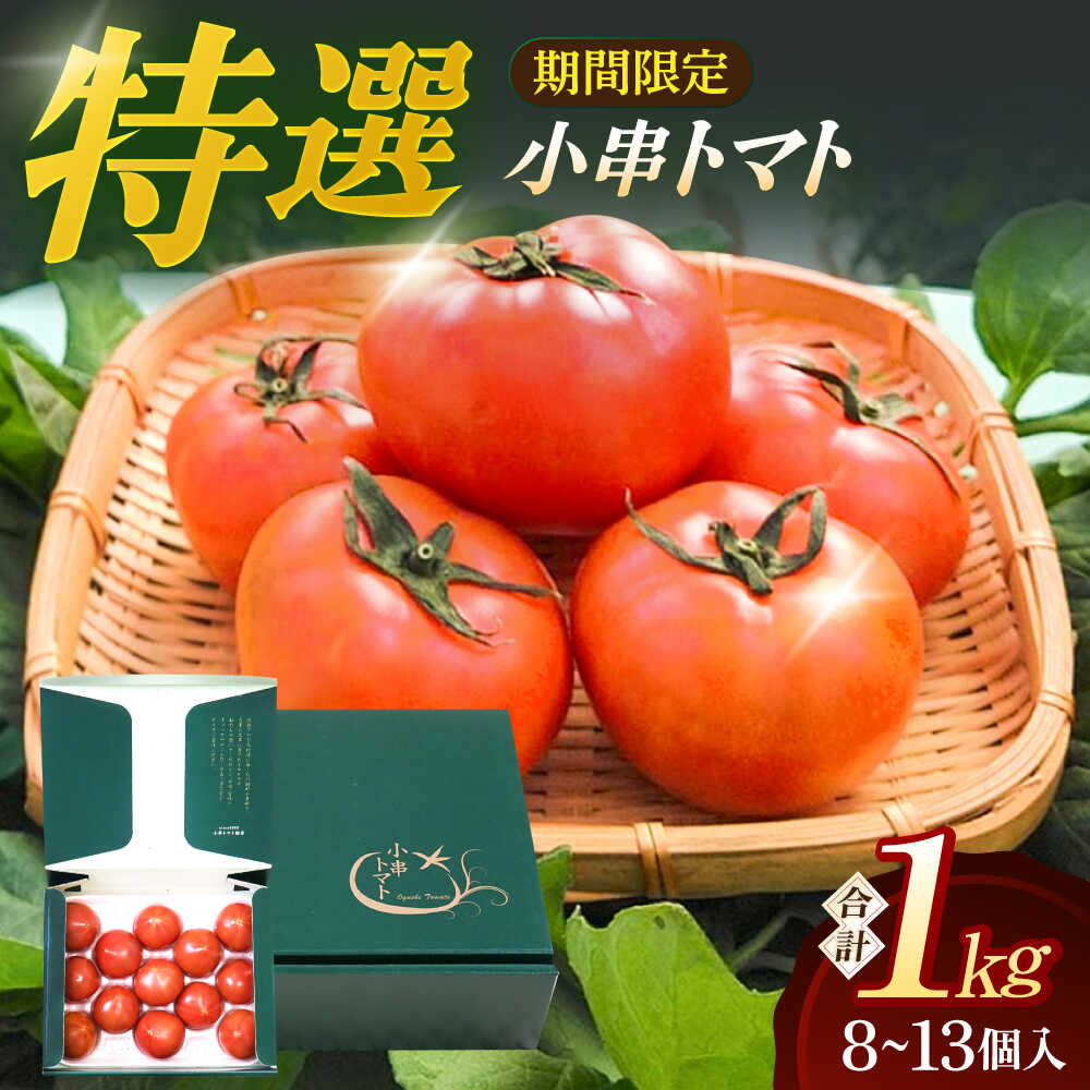 【ふるさと納税】《日本一 獲得実績アリ！》【先行受付】 最高級 特選 小串トマト 約1kg【東彼新鮮市場】[OAE001] / とまと ブランドトマト 小串とまと 化粧箱入り・贈答用 野菜 季節の野菜 お取り寄せ 特産品 贈答用 1万円台 一万円台 長崎県産 九州産 ご当地 産地直送 特産