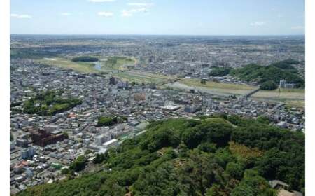 【返礼品なし】栃木県足利市応援寄附金 50,000円  F7Z-B050