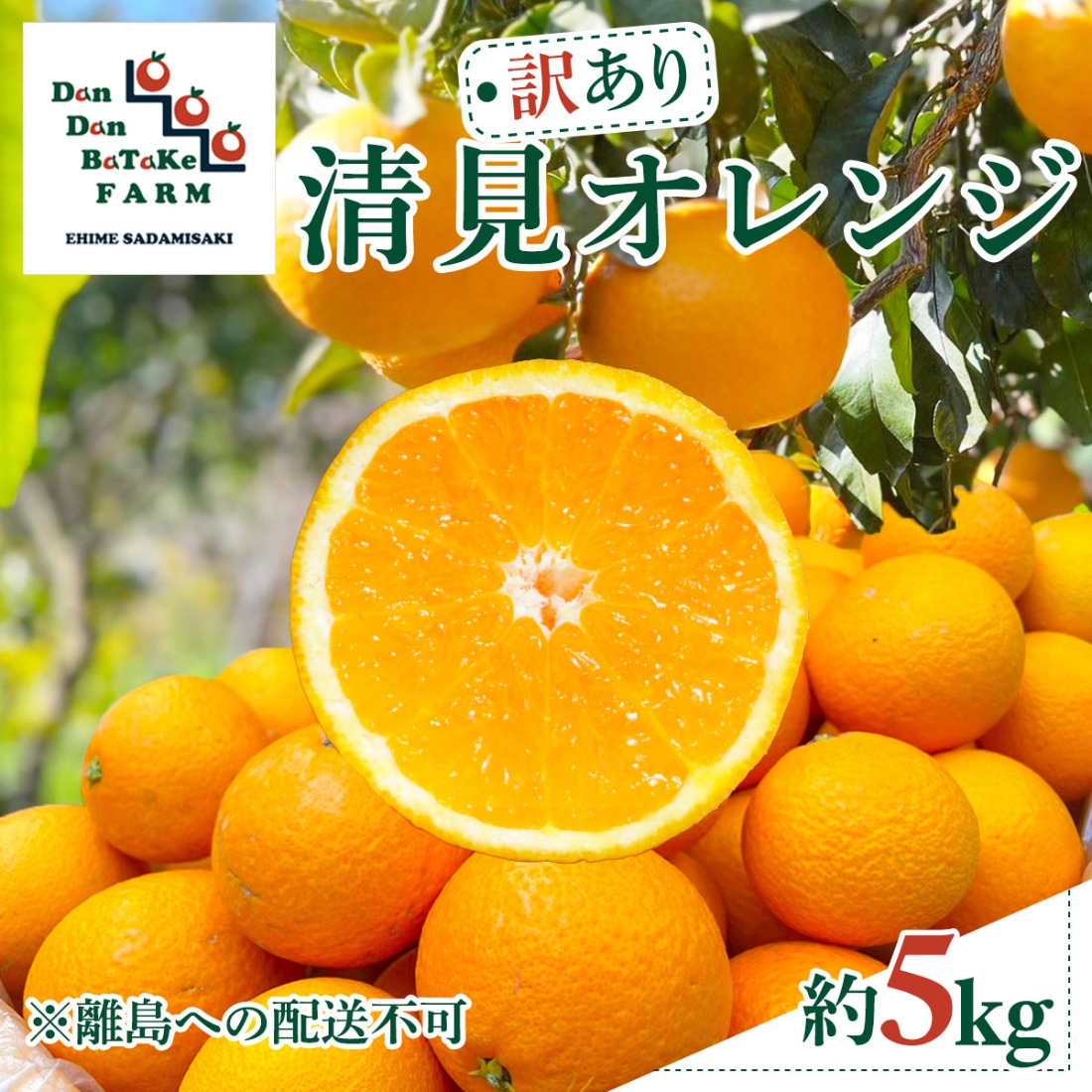【先行予約】【訳あり】清見オレンジ 約5kg　※2027年3月中旬より順次発送予定 IKTAU015