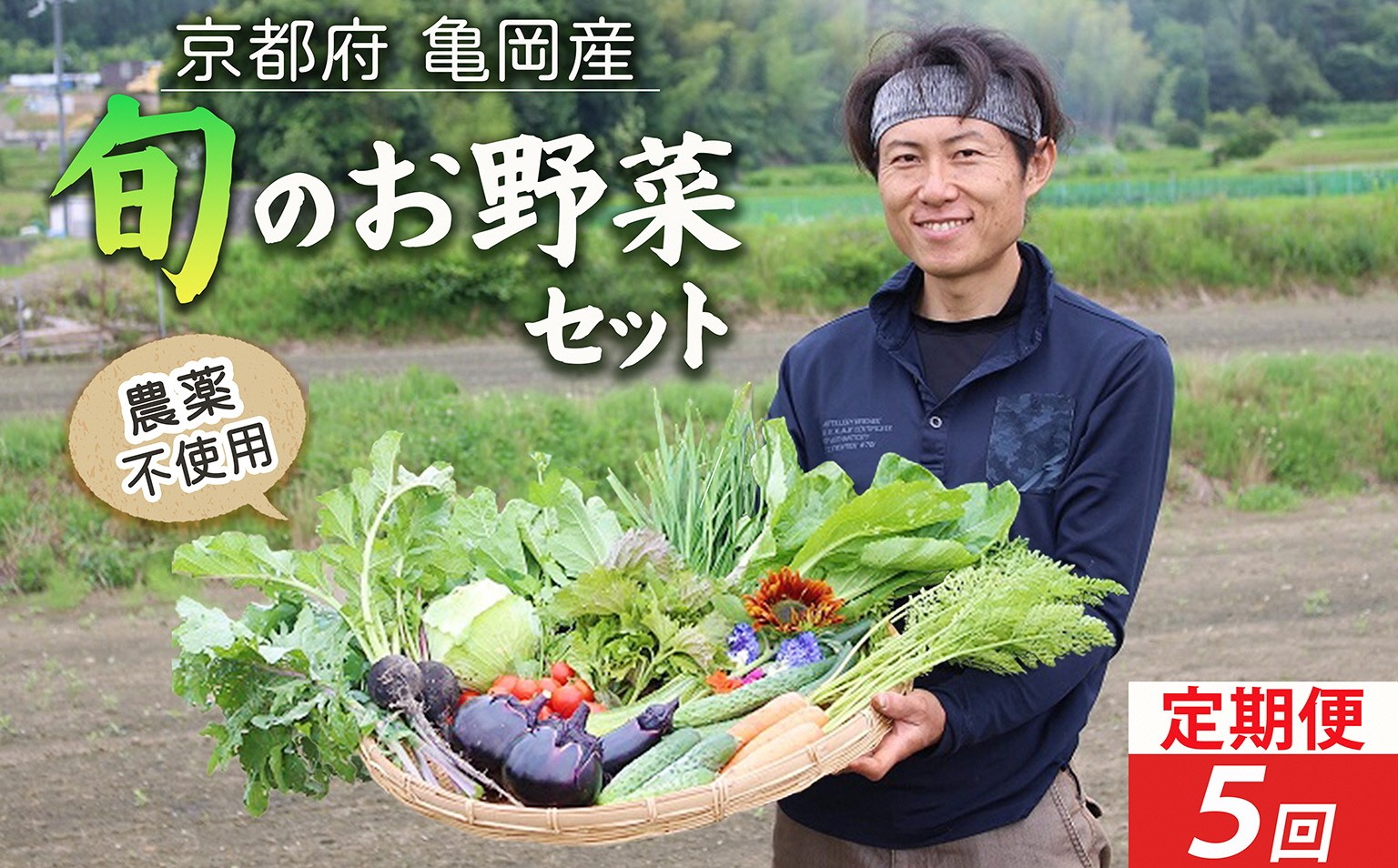 
                  【5回定期便】京都府・亀岡産 自然農法＆農薬を使わずに育てた体も心も喜ぶ、かたもとオーガニックファームの季節のお野菜セット 毎回10～20品目
                
