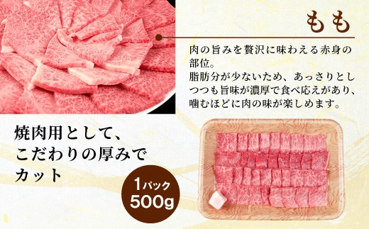 【1月発送】 飛騨牛 A4~A5等級 もも焼肉用 500g 岐阜県産 A4 A5 焼肉 BBQ 黒毛和牛 もも モモ 赤身 牛肉 牛 国産 お取り寄せ ごちそう 自宅用 和牛 小分け 最短発送 肉のひ