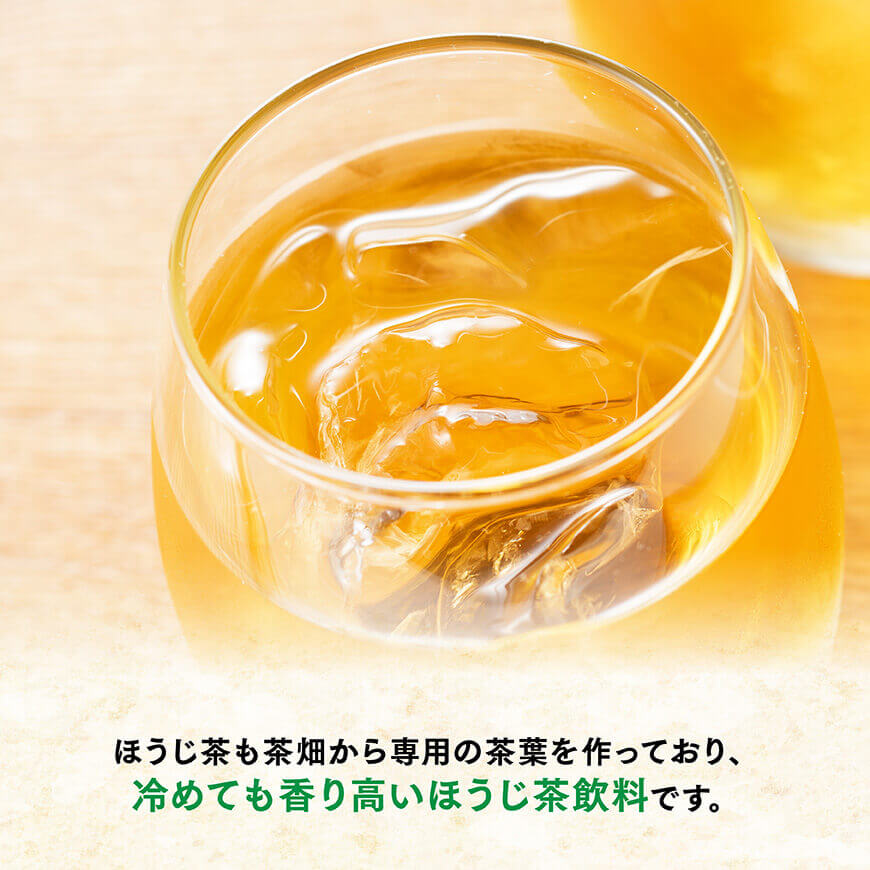 【6ヶ月定期便】お〜いお茶 ほうじ茶 600ml×48本 PET 【 飲料 飲み物 ソフトドリンク お茶 ペットボトル ケース 備蓄 送料無料 】