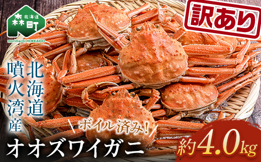 【訳あり】オオズワイガニ（ボイル済） 約4.0kg＜海鮮問屋　株式会社　瑞宝＞ かに カニ 蟹 ガニ がに ずわいがに おおずわいがに 大ずわいがに 森町 北海道 mr1-0898
