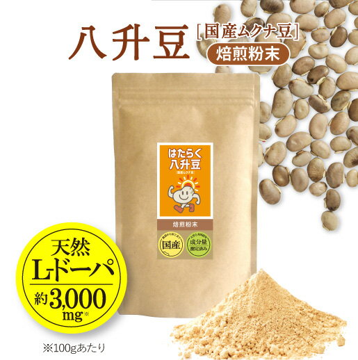 【ふるさと納税】八升豆（国産ムクナ豆）粉末 300g×1袋【老舗生薬屋の無添加ムクナ豆】| 豆 八升豆 ムクナ豆 むくな豆 粉末 パウダー はたらく八升豆