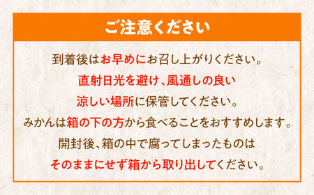 【先行予約】11月初旬より順次発送】早生みかん3kgと富有柿3kg 詰合せセット 愛媛県大洲市/沢井青果有限会社 [AGBN019]みかん柿果物みかん柿果物みかん