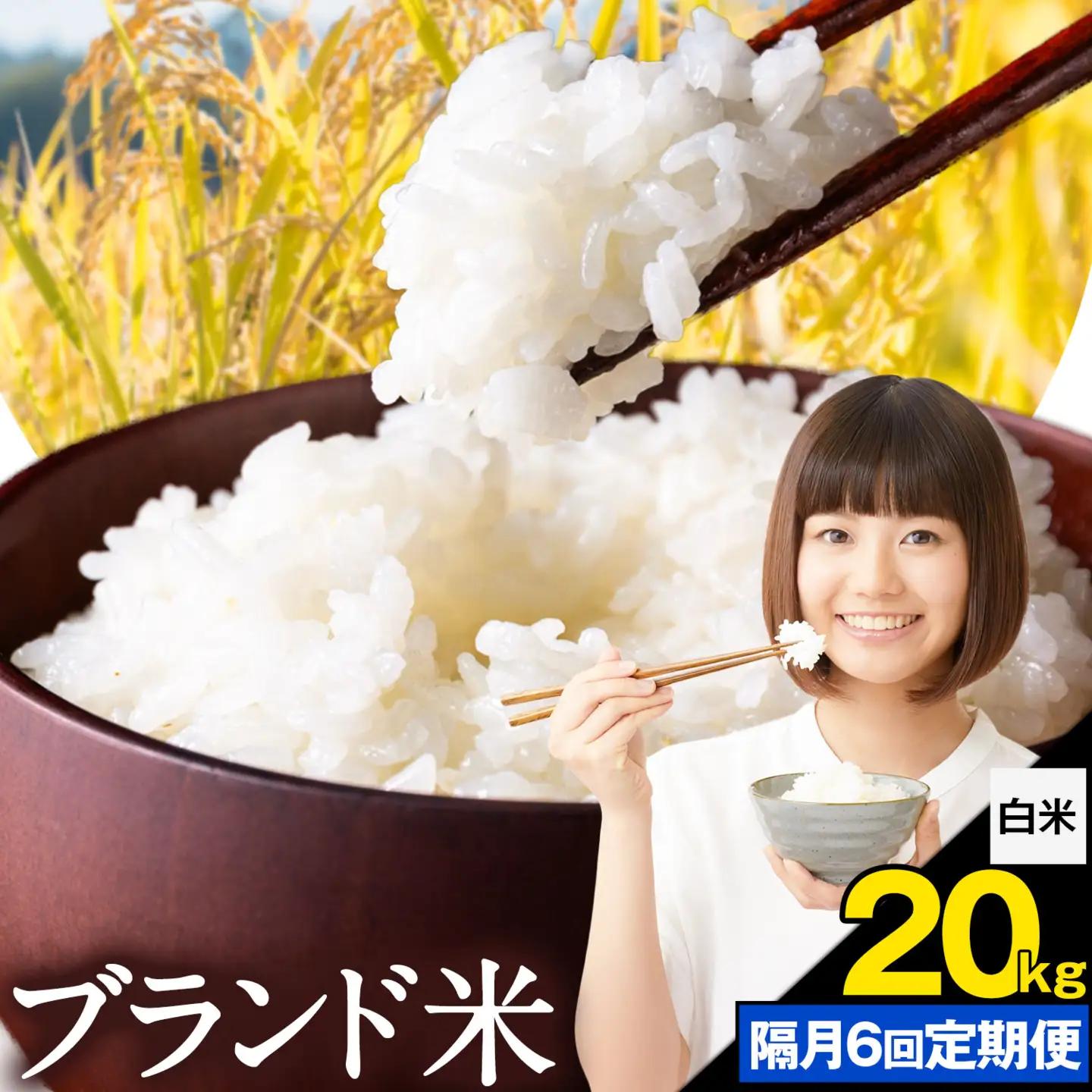 【隔月6回定期便】米  南関町 単一原料米 (ひのひかりorにこまるorくまさんの輝き) 白米 20kg《お申込み翌月から出荷》熊本県産 国産 ひのひかり 白米 精米 こめ コメ 20キロ