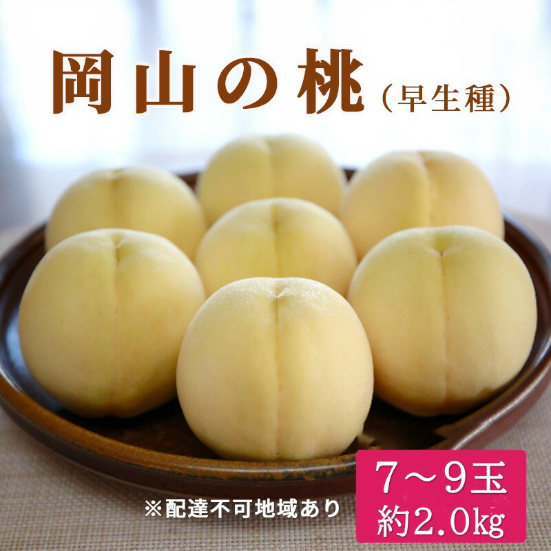 【ふるさと納税】桃 2026年 先行予約 特選 岡山の白桃 7～9玉 約2kg 早生種 もも モモ 岡山県産 国産 フルーツ 果物 ギフト いろは堂 　お届け：2026年6月下旬～2026年7月中旬
