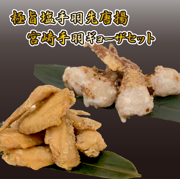 【レンジでチンするだけ♪】極旨塩手羽先唐揚げ 宮崎手羽ギョーザ セット
