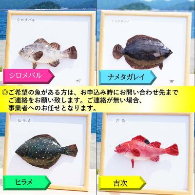 ふるさと納税 山田町 手作り 本物そっくり魚の模型 2点 |  | 03