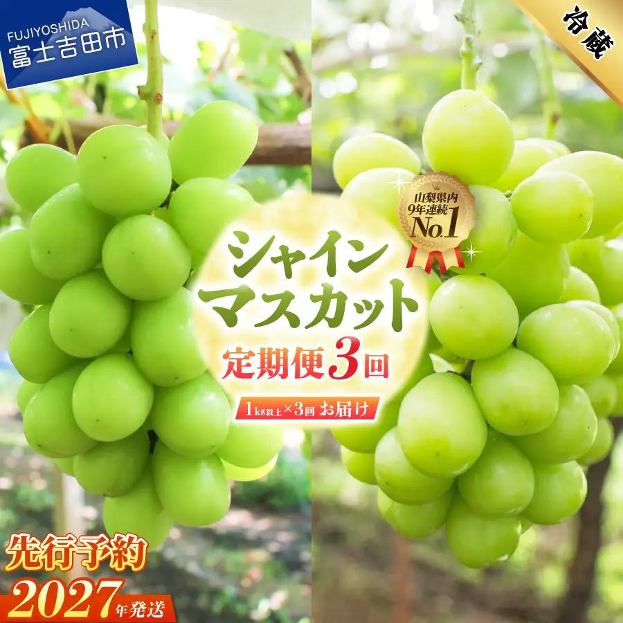 【2027年発送 先行予約】【3回定期便】ジューシーで甘さ抜群 厳選シャインマスカット1kg以上×3回配送 シャインマスカット定期便