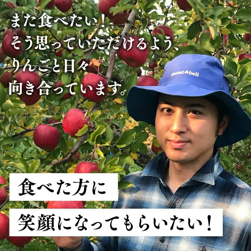りんご 家庭用 葉とらずサンふじ・シナノゴールド 詰め合わせセット 約3kg 青森県平川市産　[hi-0036-008]