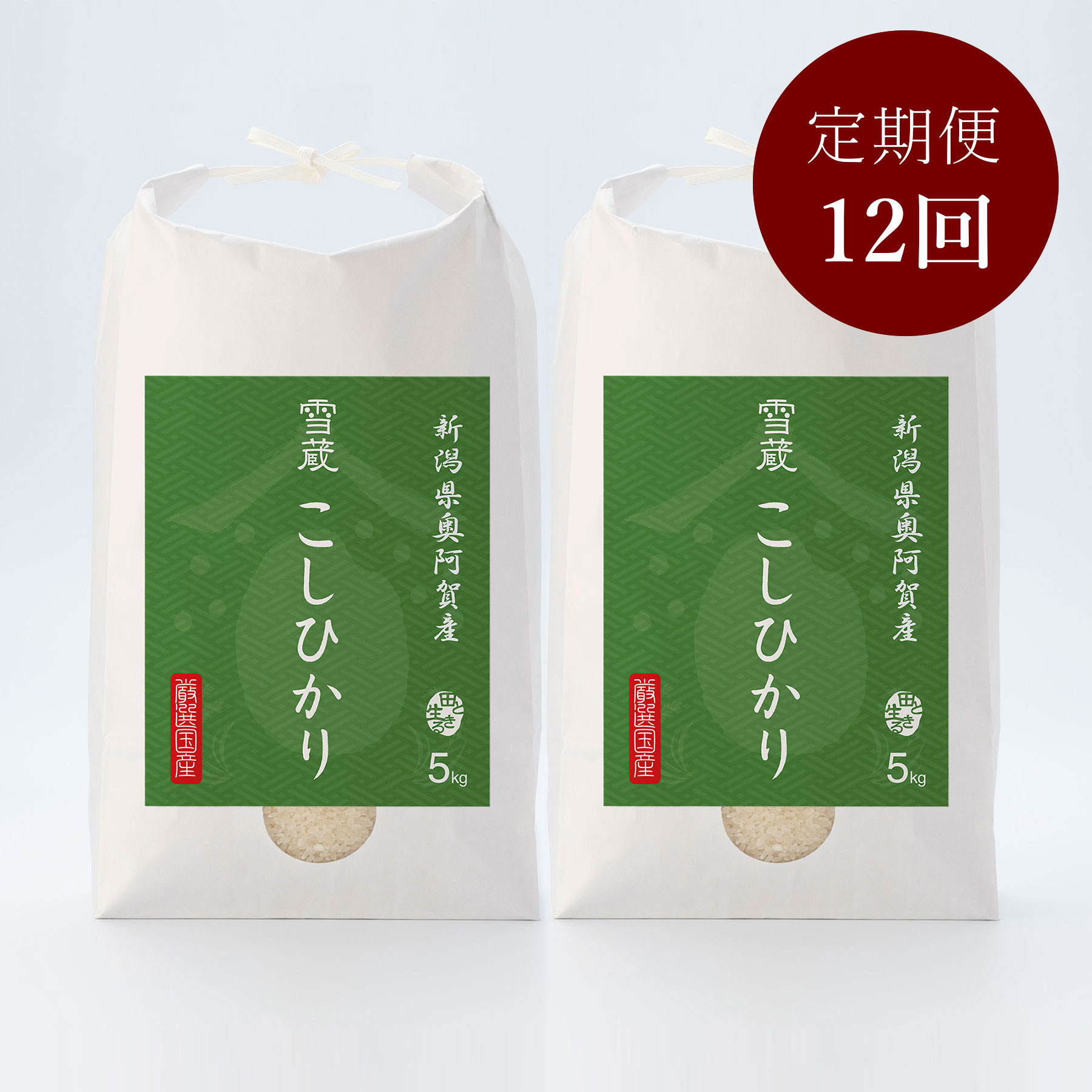 新潟県奥阿賀産こしひかり10kg 定期便12回