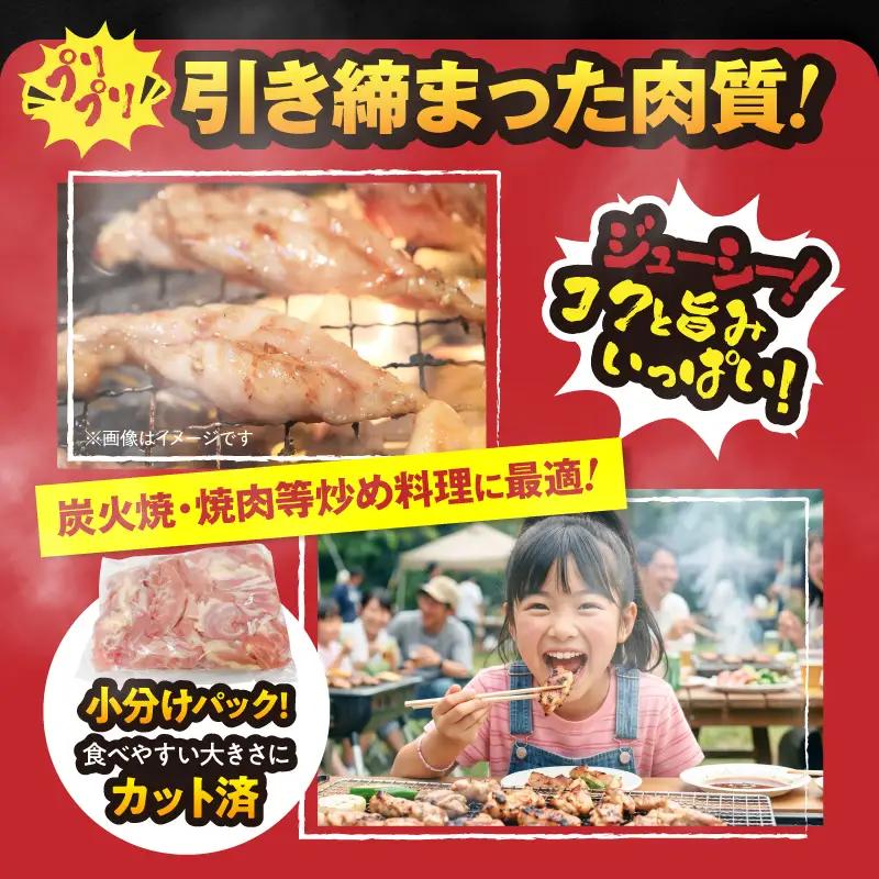 鹿児島県産 若鶏 せせり （ 小肉 ） 3kg セット KN105-018 肉 鶏肉 冷凍