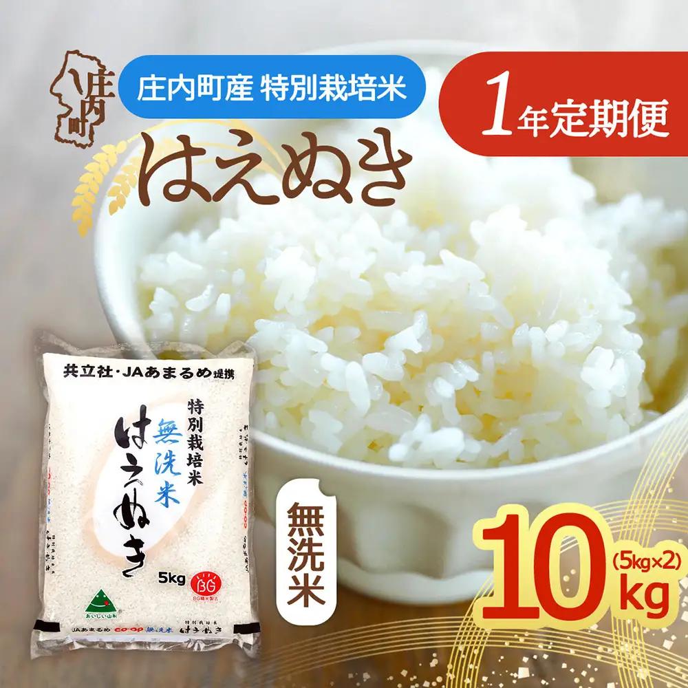【定期便】＜令和8年産/9年産＞はえぬき 無洗米 10kg×1年間 毎月お届け 特別栽培米 山形県庄内町産 庄内米 ブランド米 米 コシヒカリの原点、亀の尾発祥の地 お米の定期便 甘み 粘り バランスの良い ごはん 家庭用【11月中旬発送】