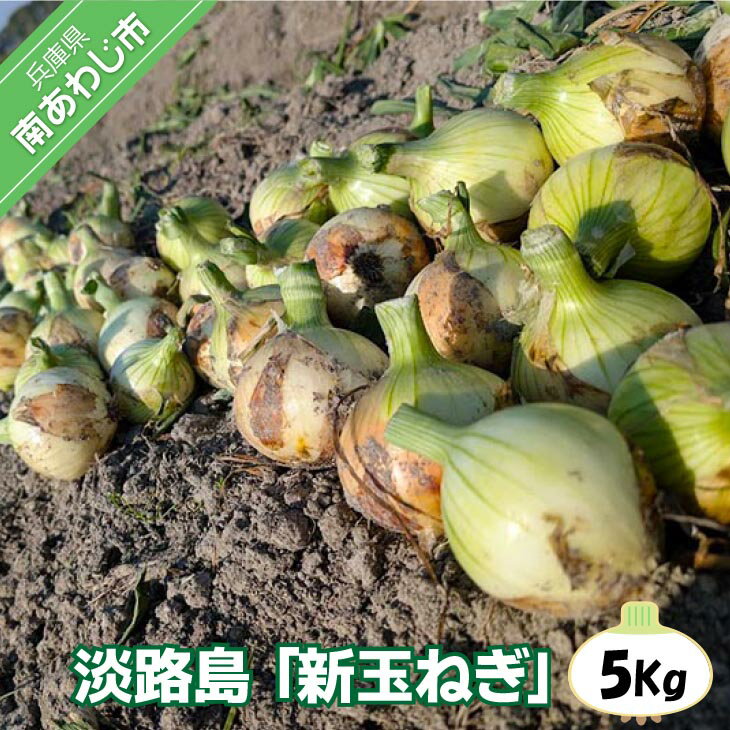 【ふるさと納税】淡路島 「新玉ねぎ」5キロ期間限定！（なくなり次第終了） ふるさと納税 おすすめ