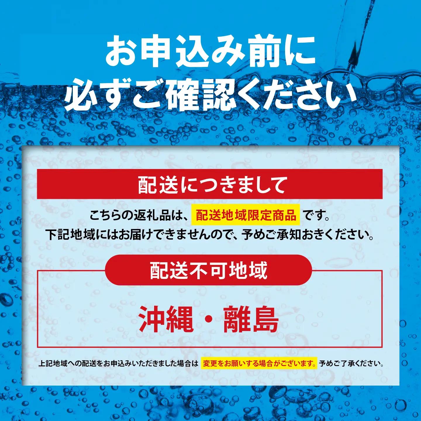 強炭酸水 ラベルレス 3ヶ月定期便 1L×1箱 15本入 炭酸