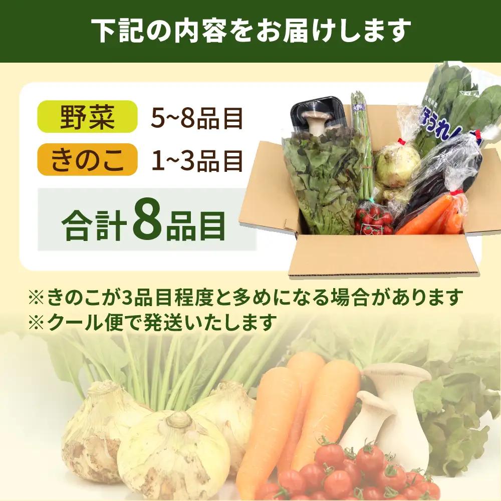 お試し 野菜セット 8品目 [SCZ027]