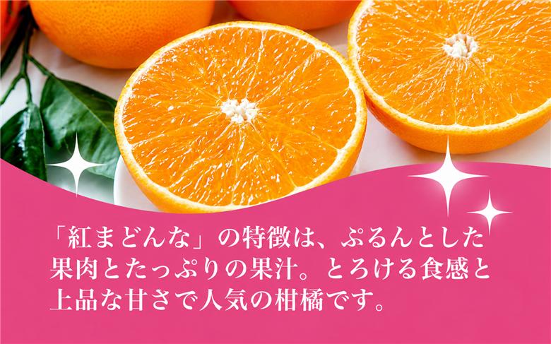 【先行受付】紅まどんな　化粧箱　秀3L～L　10～15玉　愛媛県　JAおちいまばり