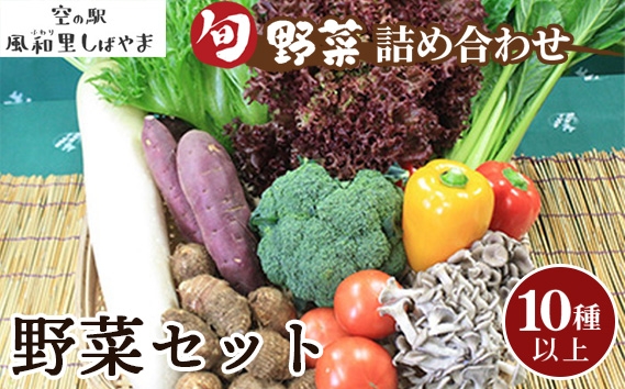 
                  野菜セット（10種以上） ／ 野菜 季節の野菜 旬 新鮮 自慢の逸品 詰め合わせ 10種以上 新鮮 食材 野菜詰合せ サラダ用 炒め物用 千葉県 No.063
                