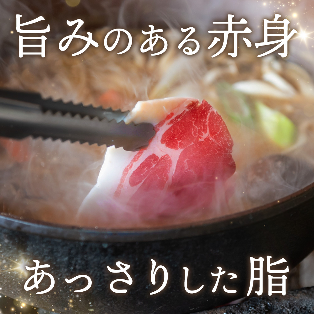 脊振ジビエ イノシシ肉バラエティセット 約1.4kg【脊振 ロース ばら 肩ロース ミンチ カレー 鍋 セット】(H059118)
