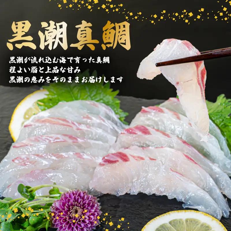 高知県 須崎市産 真鯛  まるごと 1尾 