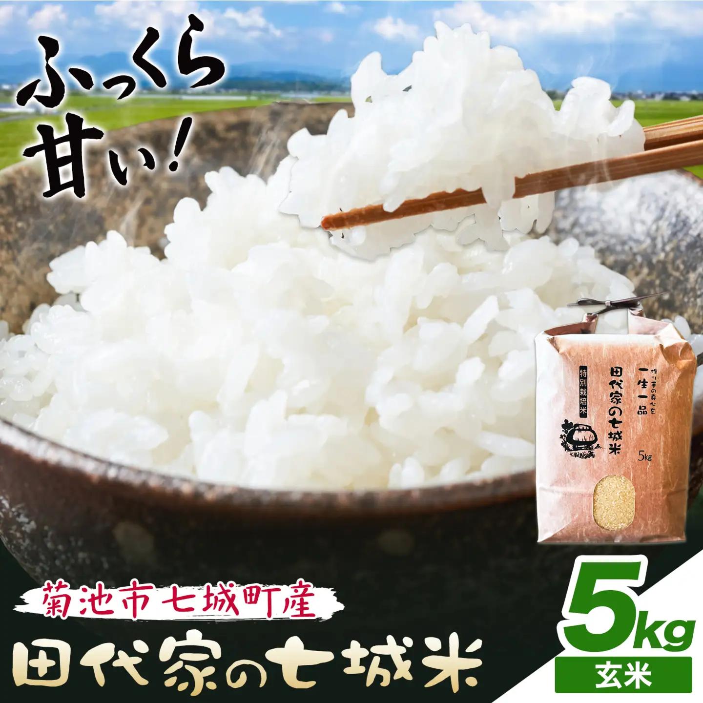 令和7年産 菊池市七城町産 田代家の七城米 七城ヒノヒカリ玄米 5kg 田代こめや《30日以内に出荷予定(土日祝除く)》熊本県 菊池市 米 お米 精米 ひのひかり 菊池市産 熊本県産 九州産 送料無料