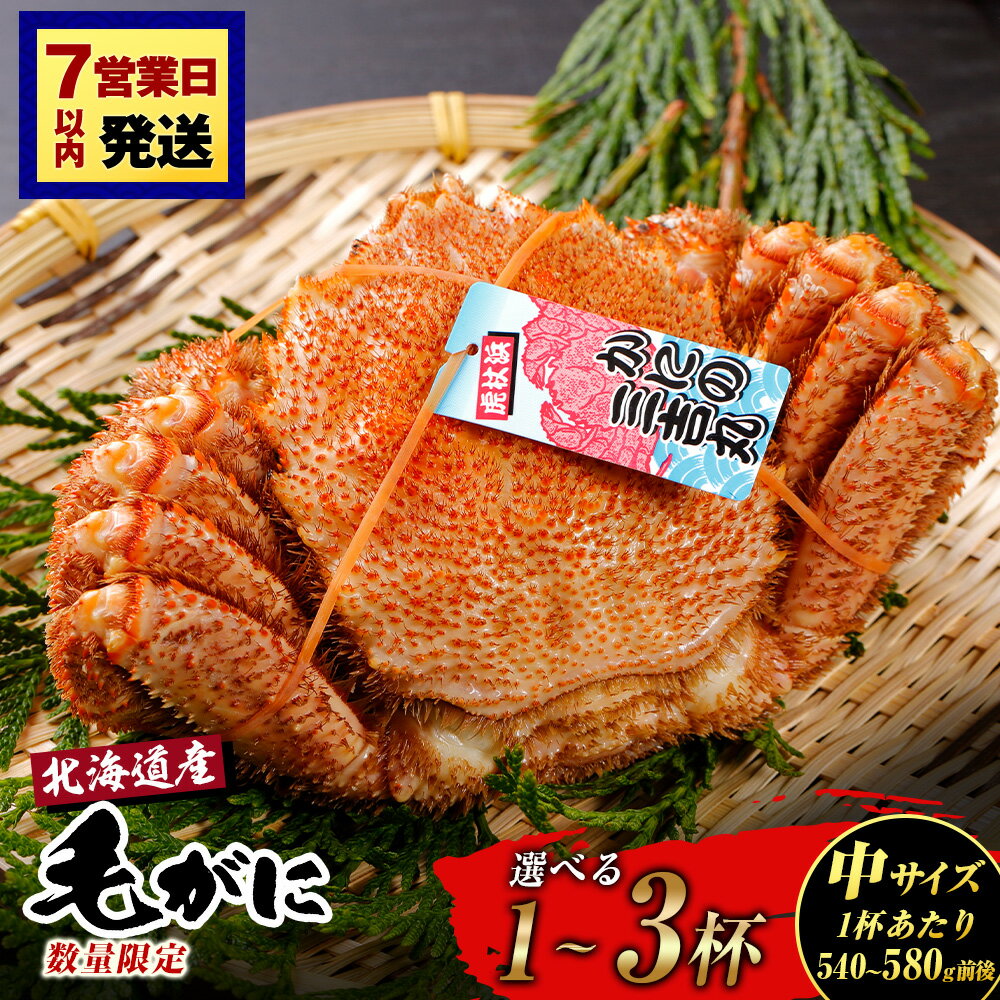 【ふるさと納税】【中サイズ】北海道産 冷凍ボイル毛ガニ 選べる1尾〜3尾 (1尾540g-580g前後) 選べる発送月 蟹 かに カニ 毛ガニ AS183毛がに 毛ガニ 毛蟹 蟹 カニ 北海道ふるさと納税 白老 ふるさと納税 北海道 年末