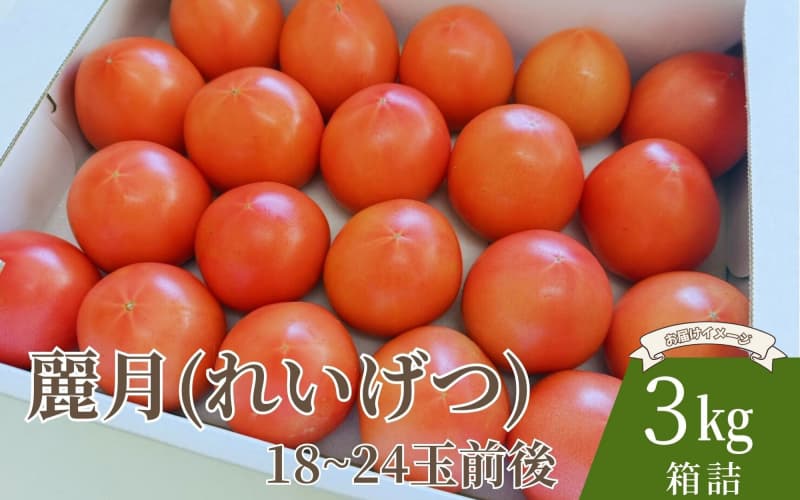 デリシャスファームのトマト(麗月)3キロ箱 / とまと 野菜 トマト【delf011】