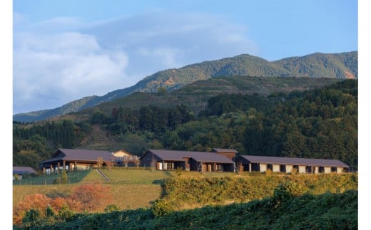 【AUBERGE de SENVIE】宿泊ギフト券（エグゼクティブスイートルーム　1泊2食付　2名様）