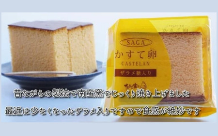  たまご専門店☆たまご家のカステラ「かすて卵」10個入り カステラ 専門店 お菓子 スイーツ デザート ザラメ佐賀県 太良町 N249