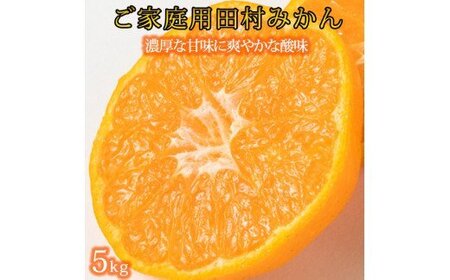 【ご家庭用訳あり】田村みかん　５kg【2026年11月下旬以降発送】【先行予約】【UT18】【uot754A】