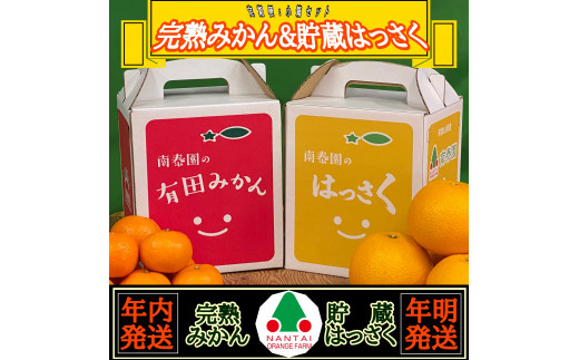 
                  《みかんは年内発送》定期便 手さげ箱 セット 完熟早生 有田みかん ＆ はっさく 全2回 南泰園
                
