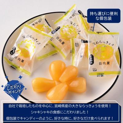 ふるさと納税 三股町 <宮崎県産>宝石らっきょう　日向夏(70g×4袋・計280g)【MI153】 |  | 01