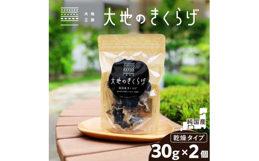 きくらげ 国産 乾燥きくらげ 30g × 2個 セット 大地のきくらげ | キクラゲ 60g 木耳 乾物 乾燥食材 食物繊維 鉄分 ビタミンD 食材 肉厚 プリプリ コリコリ 低カロリー 栄養 旨み 料理 惣菜 おかず 中華 料理 ラーメン 具材 炒め物 スープ 食材 野菜 人気 おすすめ お取り寄せ ハウス栽培 大地工房 株式会社PEC 埼玉県 桶川市