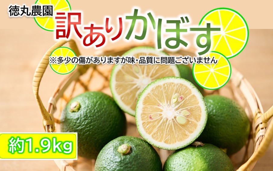 
【訳あり】多少の傷あり 徳丸農園かぼす約1.9kg_2265R
