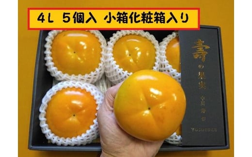 
            甘柿　太秋柿4L×5個入（1.55kg以上） 化粧小箱入り【2025年10月17日頃より発送】
          