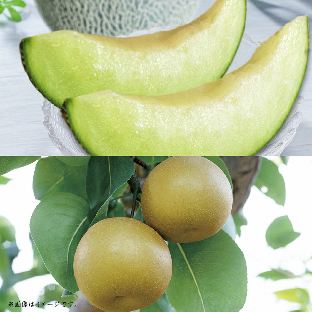 【ふるさと納税】【フルーツ2回定期便】　アンデスメロン（5kg）・梨（5kg） メロン めろん なし ナシ 大玉 くだもの 果物 果実 フルーツ 冷蔵 熊本県産 国産 九州 熊本県 あさぎり町 送料無料 【2026年5月上旬～10月上旬迄順次発送予定】