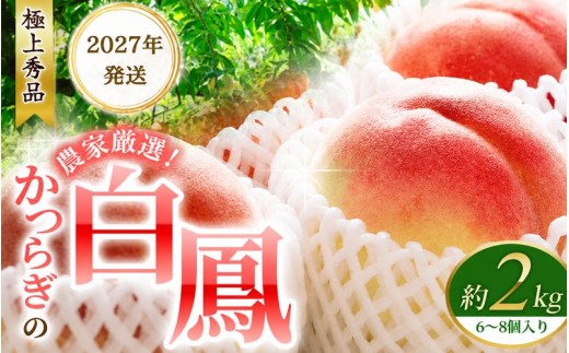 
                  【予約受付】桃の王様 白鳳 <特秀品> 約2kg（6個~9個） 【2027年６月20頃～順次出荷】（お届け日指定不可）/ 桃 もも 白鳳 フルーツ 果物 くだもの 【kgr009B】
                